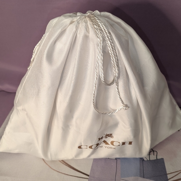 COACH Swagger 21 In Exotic Croc Embossed Leather EUC - Picture 16 of 16